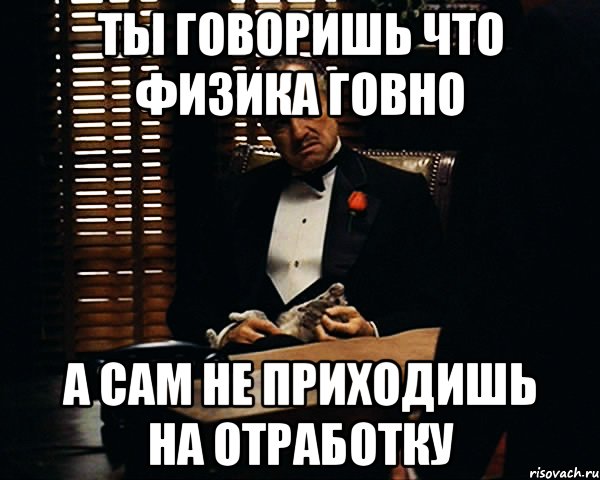 ты говоришь что физика говно а сам не приходишь на отработку, Мем Дон Вито Корлеоне