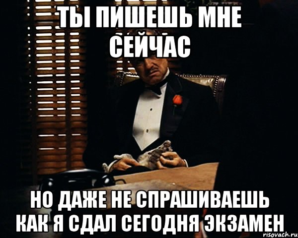 ты пишешь мне сейчас но даже не спрашиваешь как я сдал сегодня экзамен, Мем Дон Вито Корлеоне