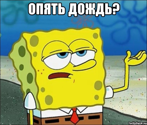 опять дождь? , Мем дождь