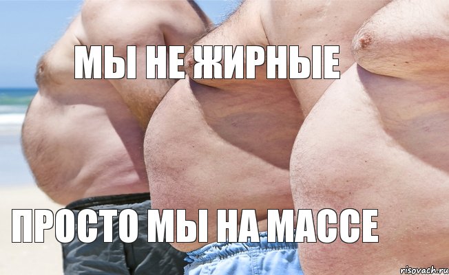 Мы не жирные Просто мы на массе, Комикс dr