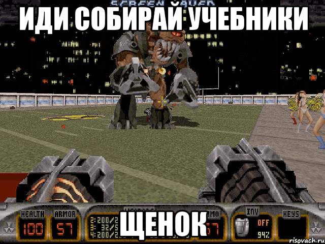 иди собирай учебники щенок, Мем Duke Nukem 3d