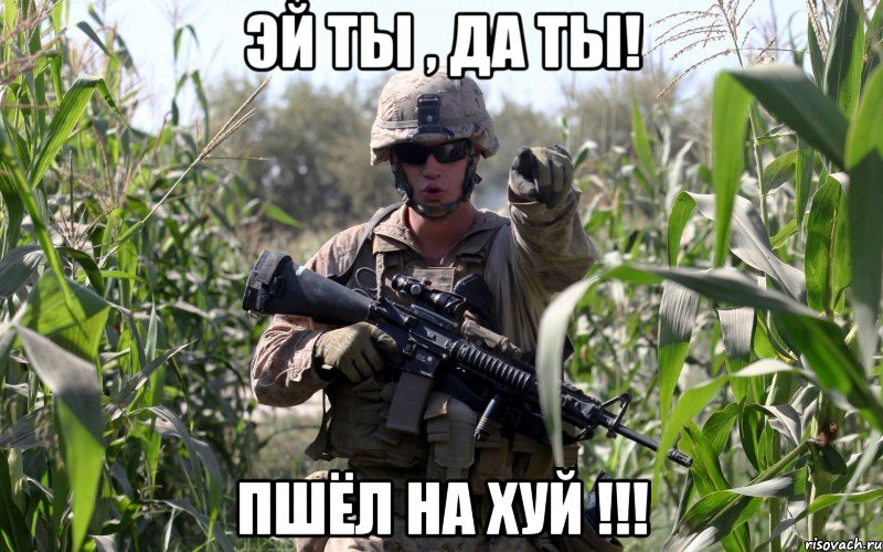 эй ты , да ты! пшёл на хуй !!!, Мем Э