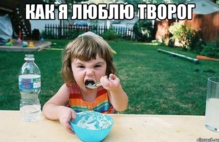как я люблю творог 