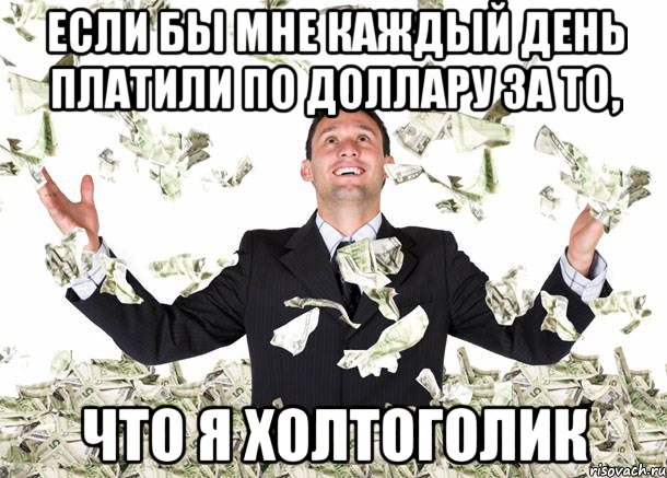 если бы мне каждый день платили по доллару за то, что я холтоголик