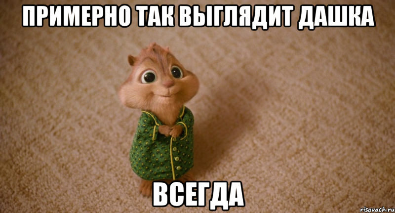примерно так выглядит дашка всегда, Мем Элвин и бурундуки
