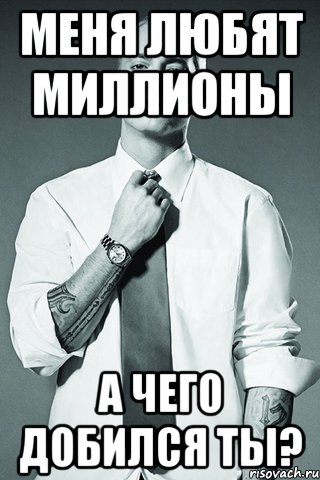 меня любят миллионы а чего добился ты?, Мем Eminem