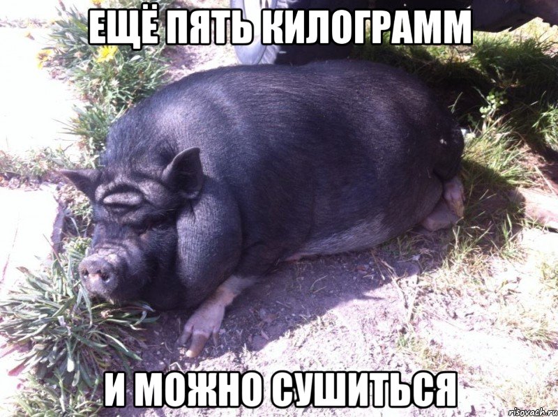 ещё пять килограмм и можно сушиться, Мем ergerg