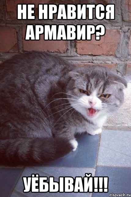 не нравится армавир? уёбывай!!!, Мем errrrrrrrt  ererererd