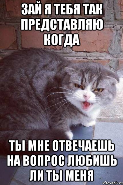зай я тебя так представляю когда ты мне отвечаешь на вопрос любишь ли ты меня, Мем errrrrrrrt  ererererd