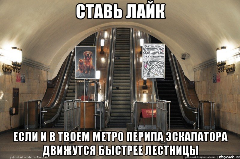 ставь лайк если и в твоем метро перила эскалатора движутся быстрее лестницы, Мем Эскалатор