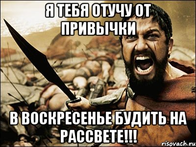 я тебя отучу от привычки в воскресенье будить на рассвете!!!, Мем Это Спарта