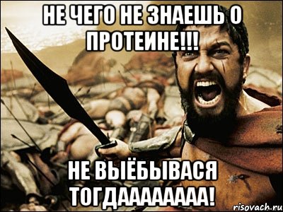 не чего не знаешь о протеине!!! не выёбывася тогдаааааааа!, Мем Это Спарта