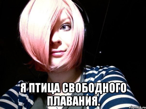  я птица свободного плавания., Мем Эйлер