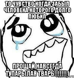 то чувство когда забыл человека которого долго любил прощай навсегда тупарылая тварь!!!1