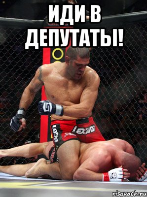 иди в депутаты! , Мем Федя уходи