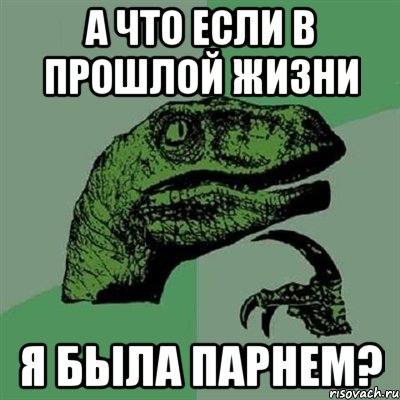 а что если в прошлой жизни я была парнем?, Мем Филосораптор