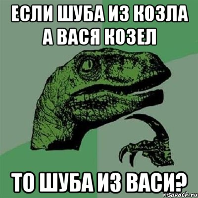 если шуба из козла а вася козел то шуба из васи?, Мем Филосораптор