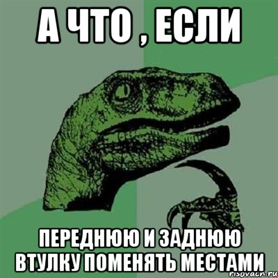 а что , если переднюю и заднюю втулку поменять местами, Мем Филосораптор