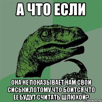 а что если она не показывает нам свои сиськи,потому что боится что ее будут считать шлюхой?, Мем Филосораптор