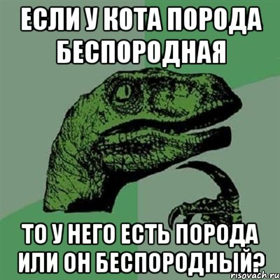 если у кота порода беспородная то у него есть порода или он беспородный?, Мем Филосораптор