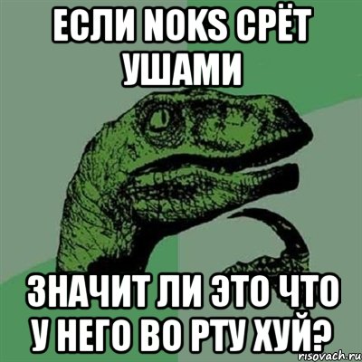 если noks срёт ушами значит ли это что у него во рту хуй?, Мем Филосораптор