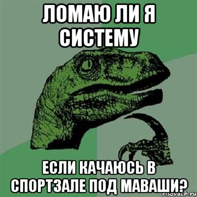 ломаю ли я систему если качаюсь в спортзале под маваши?, Мем Филосораптор