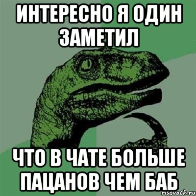 интересно я один заметил что в чате больше пацанов чем баб, Мем Филосораптор