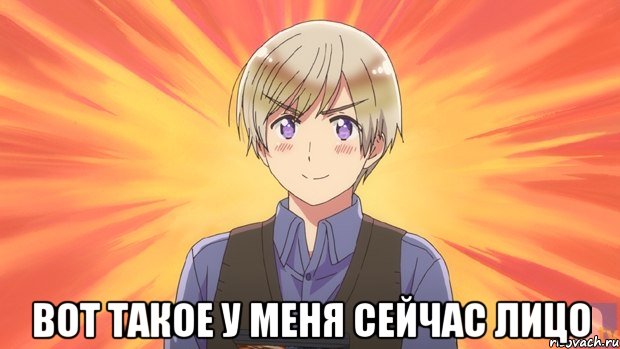  вот такое у меня сейчас лицо, Мем финляндия