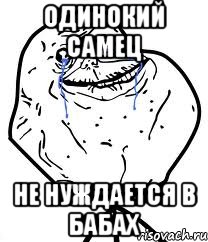 одинокий самец не нуждается в бабах