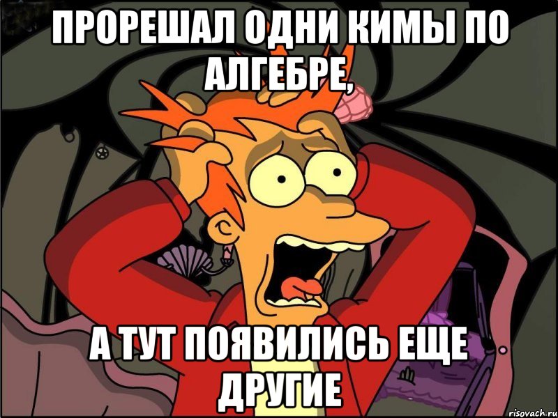 прорешал одни кимы по алгебре, а тут появились еще другие, Мем Фрай в панике