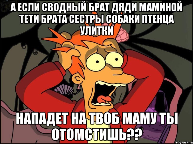 а если сводный брат дяди маминой тети брата сестры собаки птенца улитки нападет на твоб маму ты отомстишь??, Мем Фрай в панике