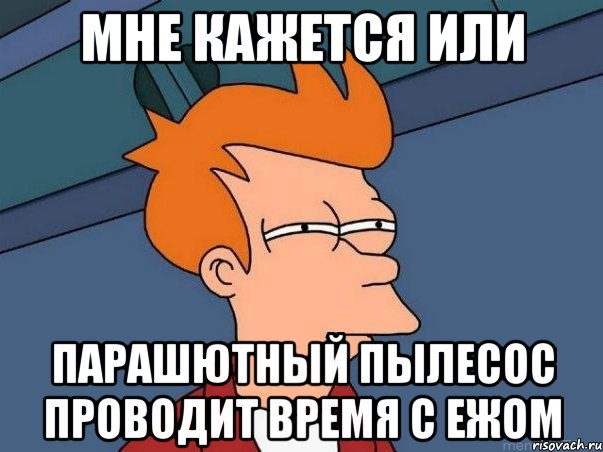 мне кажется или парашютный пылесос проводит время с ежом, Мем  Фрай (мне кажется или)