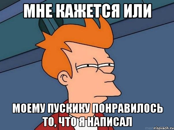 мне кажется или моему пускику понравилось то, что я написал, Мем  Фрай (мне кажется или)