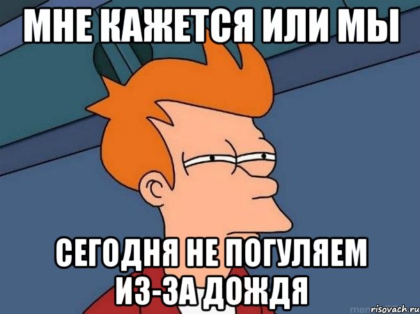 мне кажется или мы сегодня не погуляем из-за дождя, Мем  Фрай (мне кажется или)