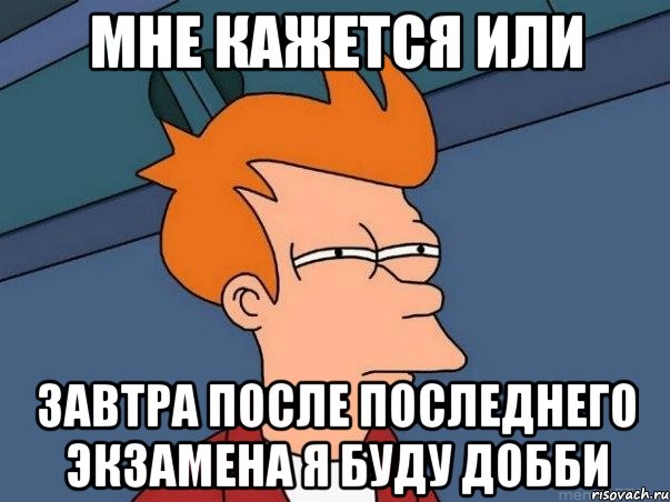 мне кажется или завтра после последнего экзамена я буду добби, Мем  Фрай (мне кажется или)