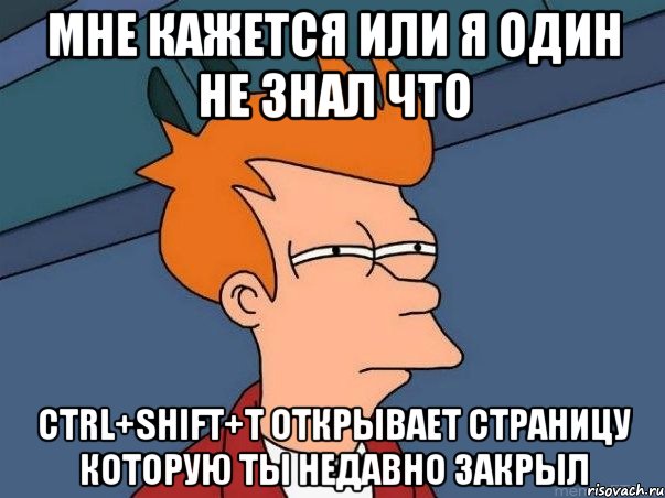 мне кажется или я один не знал что ctrl+shift+t открывает страницу которую ты недавно закрыл, Мем  Фрай (мне кажется или)