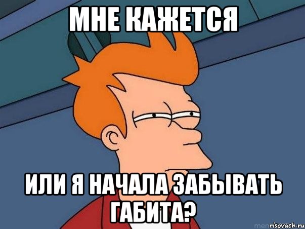 мне кажется или я начала забывать габита?, Мем  Фрай (мне кажется или)
