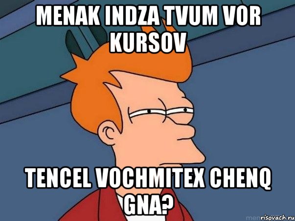menak indza tvum vor kursov tencel vochmitex chenq gna?, Мем  Фрай (мне кажется или)