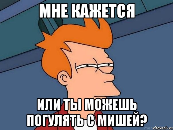 мне кажется или ты можешь погулять с мишей?, Мем  Фрай (мне кажется или)