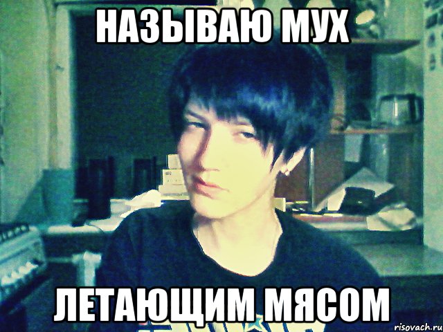 называю мух летающим мясом