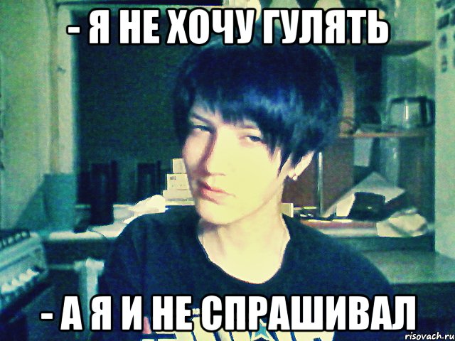 - я не хочу гулять - а я и не спрашивал