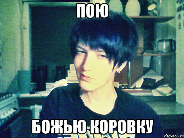 пою божью коровку