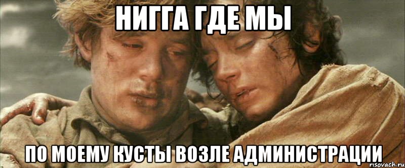нигга где мы по моему кусты возле администрации, Мем фродо