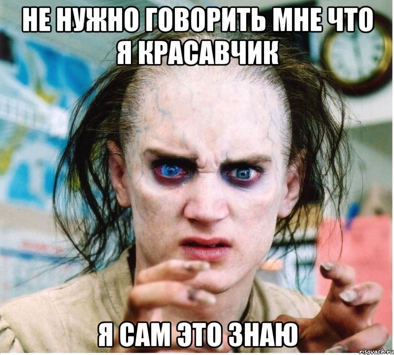 не нужно говорить мне что я красавчик я сам это знаю, Мем фродум