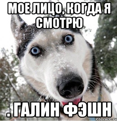 мое лицо, когда я смотрю . галин фэшн, Мем галя