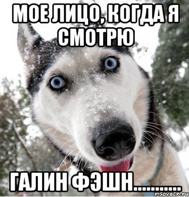 мое лицо, когда я смотрю галин фэшн..........., Мем галя
