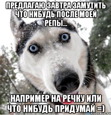 предлагаю завтра замутить что нибудь после моей репы... например на речку или что нибудь придумай =), Мем галя