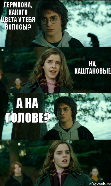 Гермиона, какого цвета у тебя волосы?  Ну, каштановые А на голове?, Комикс Разговор Гарри с Гермионой