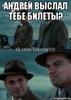 андрей выслал тебе билеты? 