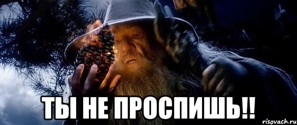  ты не проспишь!!, Мем гендальф на сосне